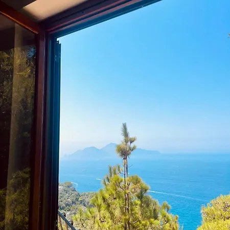 Rosanna Villa